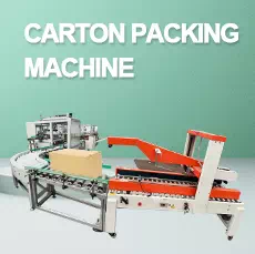CARTON PACKING MACHINE